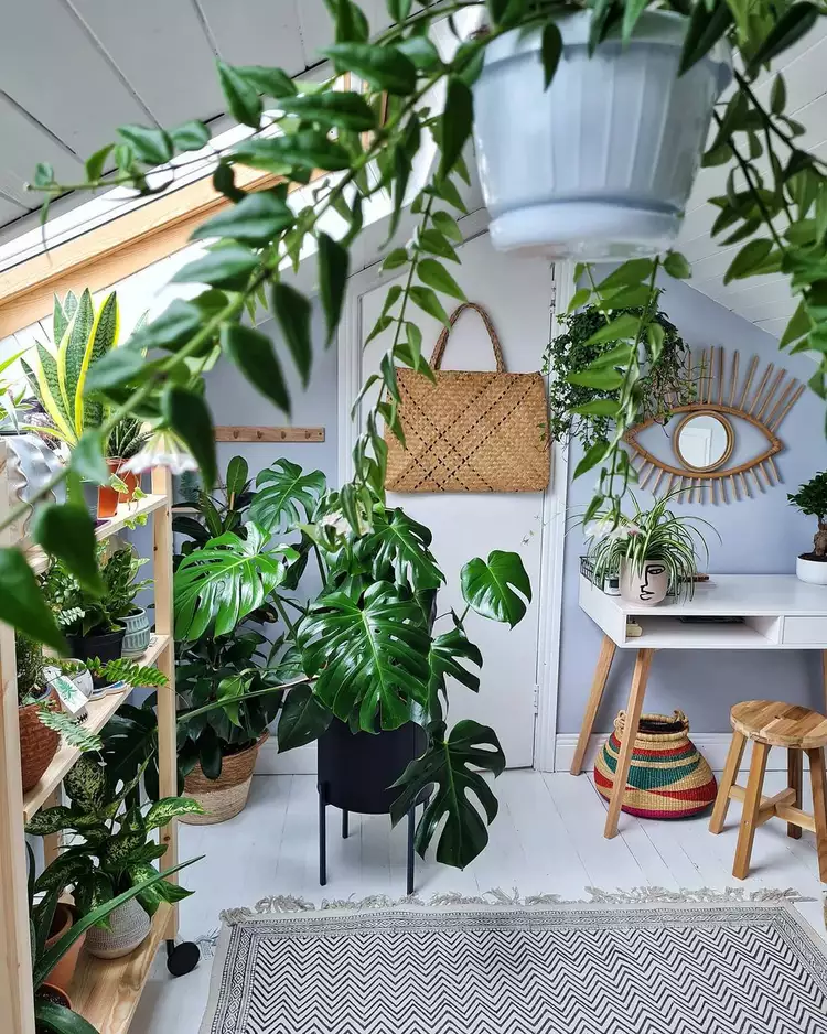 A bright, bohemian attic room filled with vibrant indoor houseplants, featuring light gray walls, white painted wooden floors, and a chevron-patterned area rug. Next to a white writing desk and a wooden stool, a woven straw tote bag hangs neatly from the back of a door. The setup demonstrates how to add hooks and wall hangers in small patches of vertical wall space to keep bags and daily accessories arranged within arm's reach.